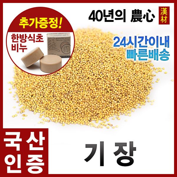 리뷰가 좋은 자애인- 기장500g 찰기장 기장쌀 국내산100%, 1개, 500g ···