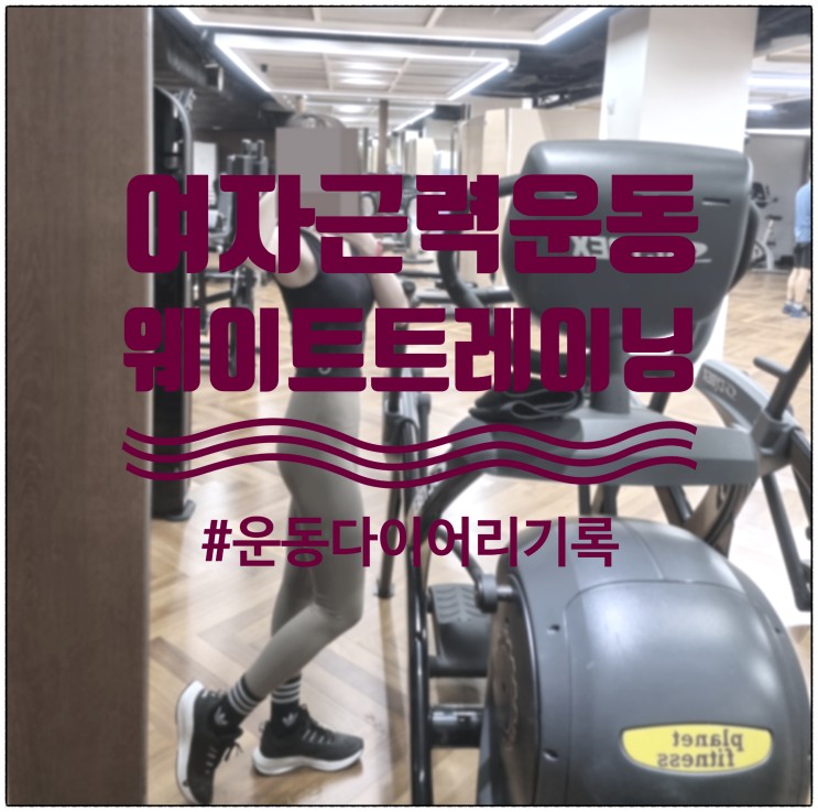 여자근력운동 웨이트 운동다이어리 영상,움짤(0207/0213) 내돈내운동