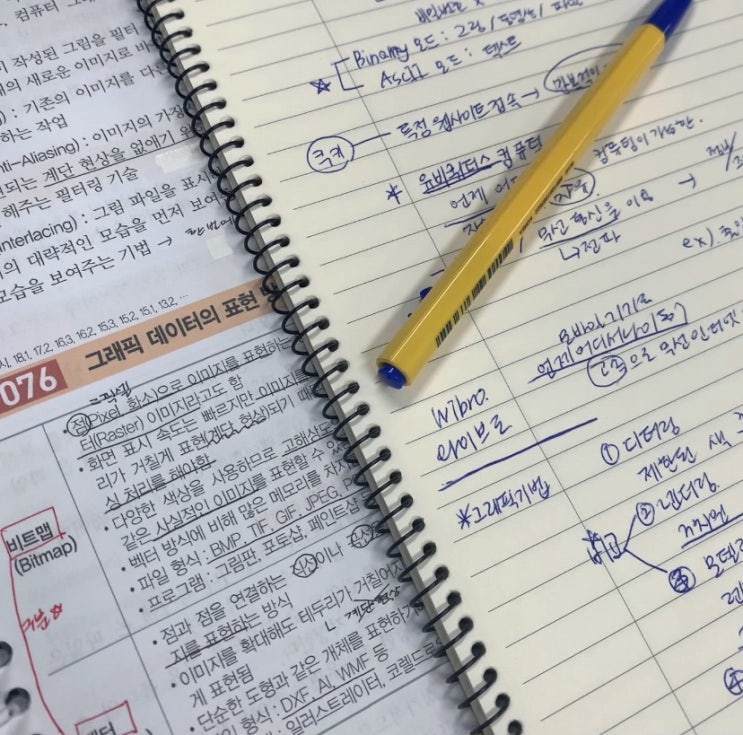  [알바일기] #02 | 관악구청 대학생 아르바이트 | 둘째 주 후기 | 출퇴근 완벽 적응 | 먹로그