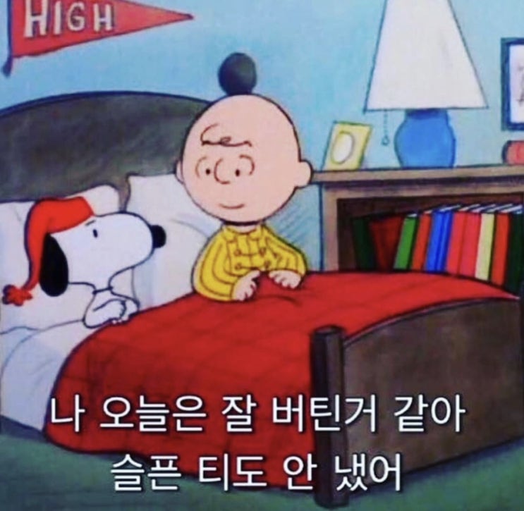  반려견이 아프면, 슬픈 티를 감추는 노력을