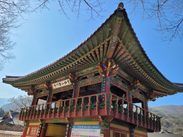  청도운문사