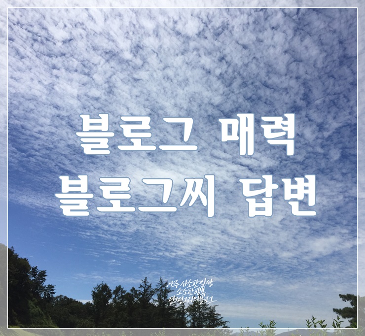  블로그 매력/ 블로그씨 질문 답변하기 나의 생각