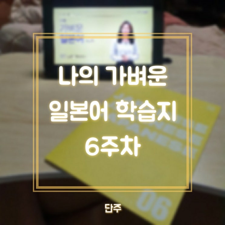  [직접구매] 나의 가벼운 일본어 학습지 6주차 학습