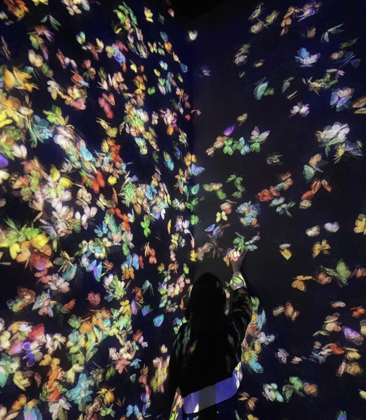  팀랩 라이프 전시회 관람 teamLab:LIFE