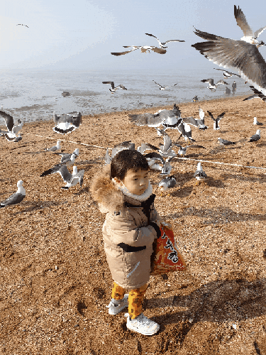  화성 궁평항 수산시장 맛집(서해수산 횟집) 아이와 가볼만한곳