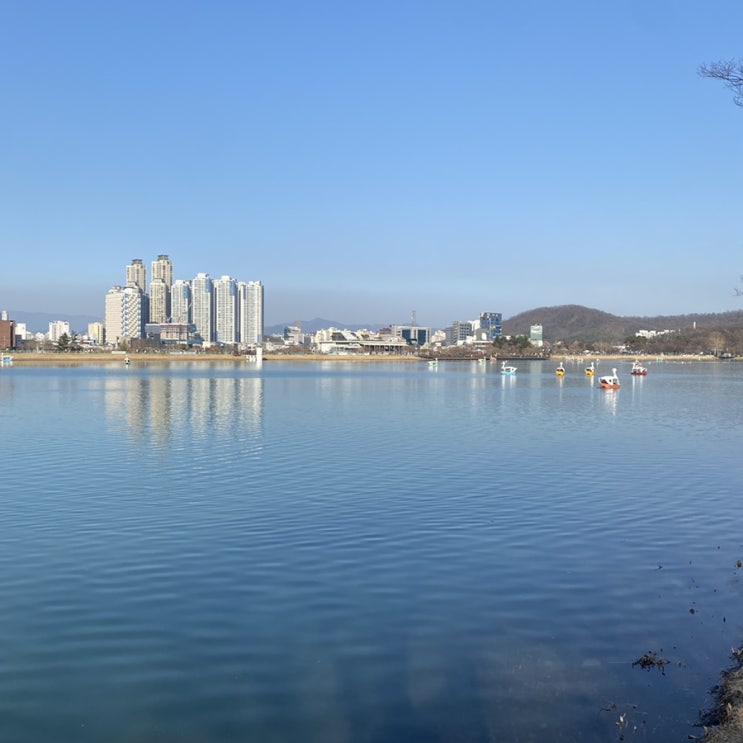  대구 수성못 오리배 & 수성파크랜드 스타벅스 수성호수R점에서 테이크아웃 & 주차