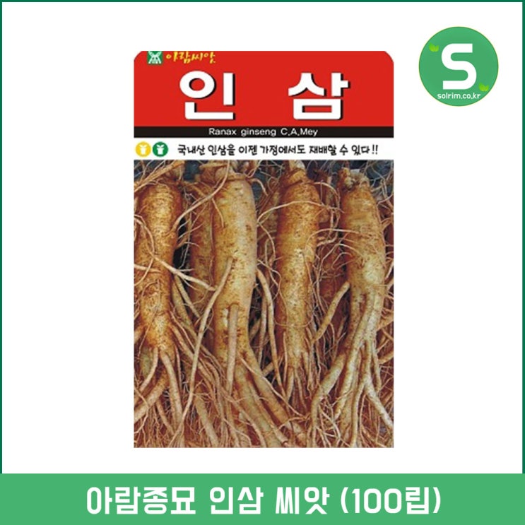 가성비 뛰어난 인삼씨앗 100립 인삼 약초씨앗 국내산 햇종자 약초씨 추천해요 가성비 뛰어난 인삼씨앗 100립 인삼 약초씨앗 국내산 햇종자 약초씨 추천해요