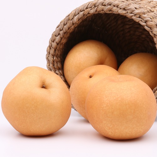 인기 급상승인 흠집배(상) 5kg 팔팔마켓 못난이 맛있는 나주 신고배, kg 추천해요 인기 급상승인 흠집배(상) 5kg 팔팔마켓 못난이 맛있는 나주 신고배, kg 추천해요