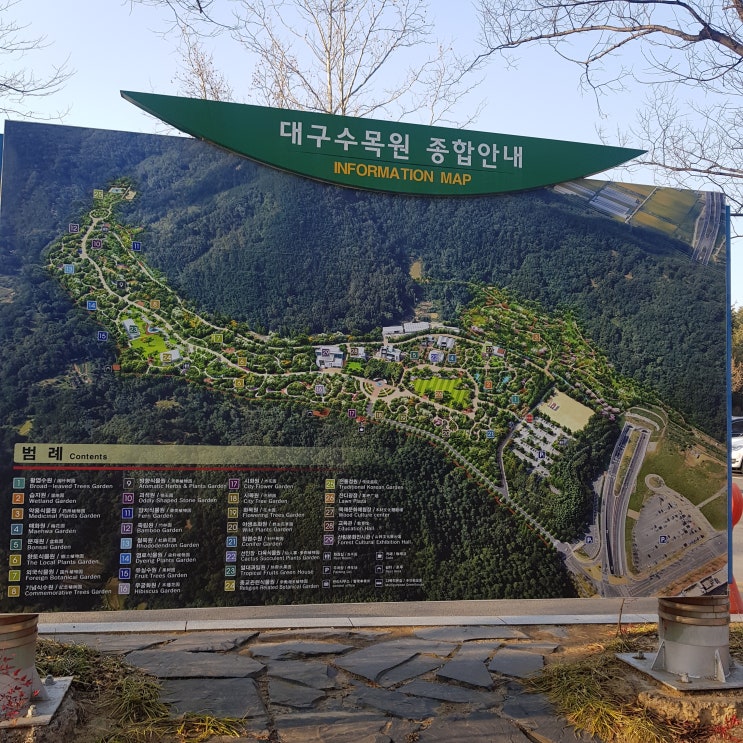  대구가볼만한곳,수목원,대구수목원,대구식물원,탄생목,시목,전나무