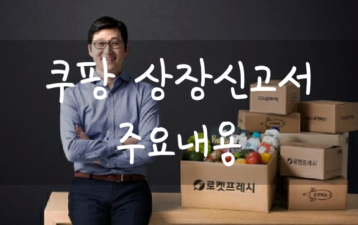 쿠팡 미국 상장신고서 중요 내용(쿠팡 2020년 매출 영업이익 등)