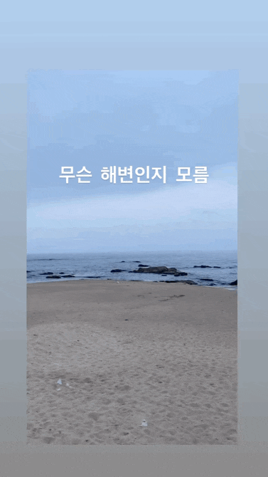바람쐬러 강릉 다녀왔당 (+갈매기다방, 온센 강릉점)