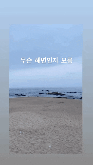  바람쐬러 강릉 다녀왔당 (+갈매기다방, 온센 강릉점)