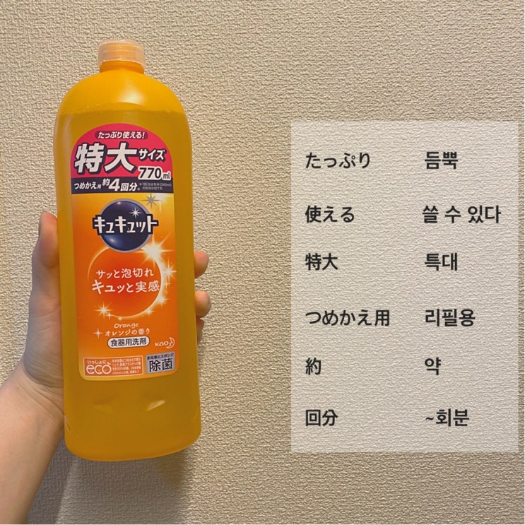  [생활일본어] 주방세제에 적힌 일본어를 알아보자