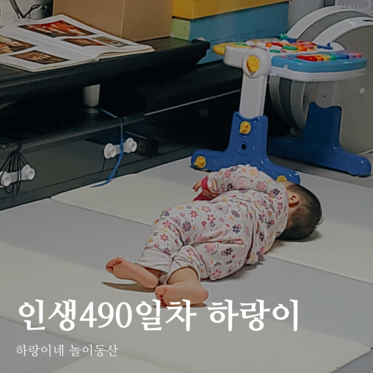 인생490일차 아들 육아일기, 16개월 성장발달