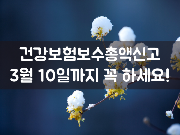  건강보험보수총액신고, 3월 10일까지 꼭 하세요!