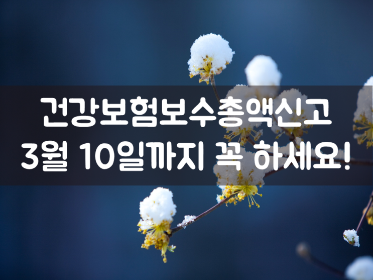 건강보험보수총액신고, 3월 10일까지 꼭 하세요!