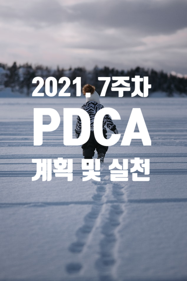  2021년 계획과 실천 7주차 점검