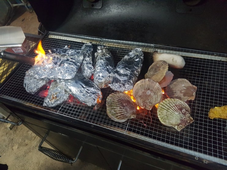  조개는~~