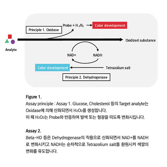  Metabolism & Oxidative Stress assay