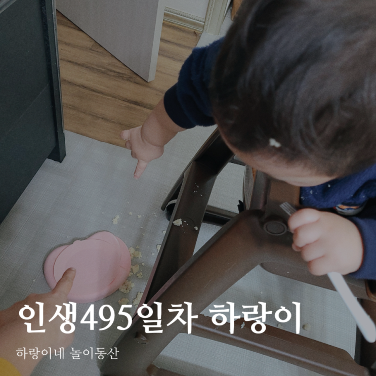 인생495일차 아들 육아일기, 16개월 성장발달