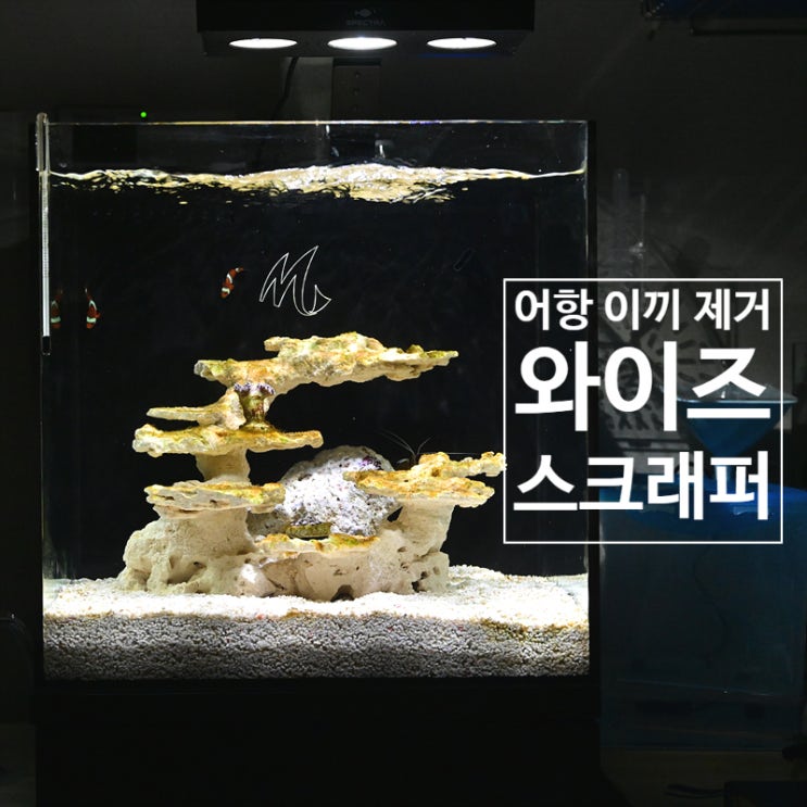  어항 이끼 제거를 위한 와이즈 스크래퍼