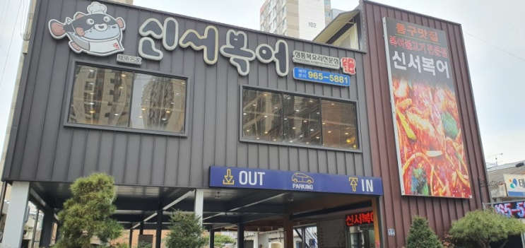  대구 동구 맛집 복어요리 전문점 신서복어!!