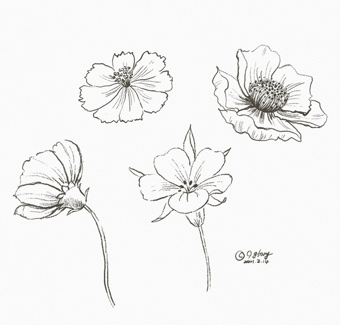  14일차-연필 드로잉 연습