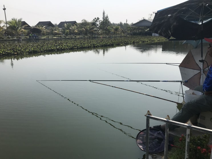  라오스 비엔티안 여가 실외 낚시터 Philavanh fishing 물고기 잡아보자