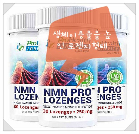 생체이용률 높은 NMN추천 Prohealth NMN Pro 로젠지