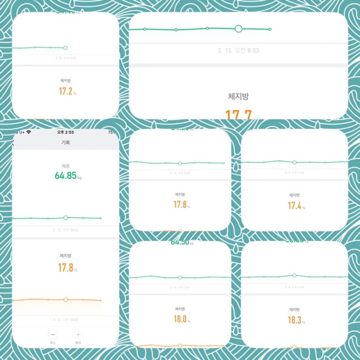  [다이어트 일기 & 다이어리 - 27주 차] : 알쏭달쏭, 평소와 달랐던 만큼 의문이 많은 주