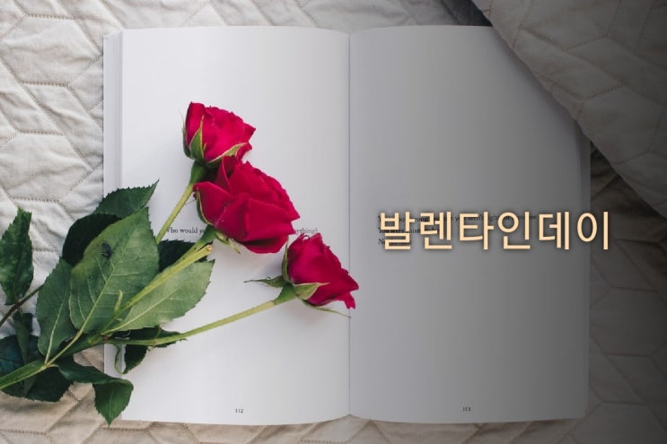  맹숭맹숭한 밸런타인