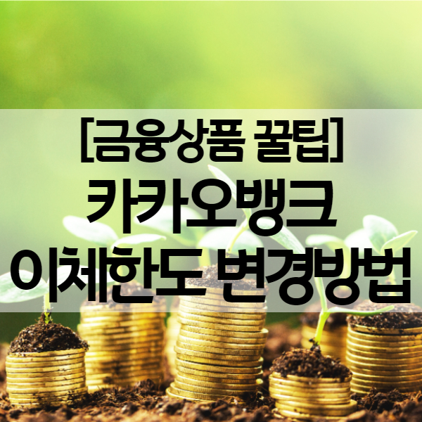  카카오뱅크 이체한도 변경방법 - OTP 등록하면 1일 최대 5억까지