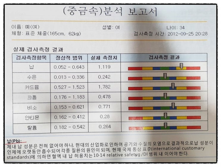  중금속 납 수은 카드뮴 크롬 비소 신경 근육 마비 폐암 뼈 뇌 간