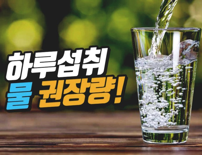  하루 물 권장량 섭취량으로 건강하게 마시는 법
