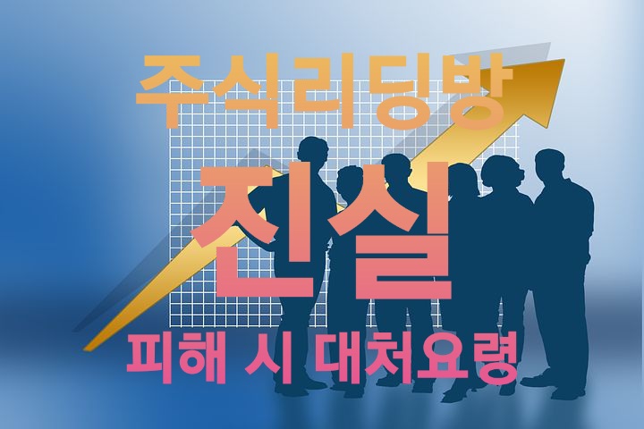 주식리딩방은 주린이 편이 아니다. 주식리딩방 진실, 피해 사례, 대처 요령