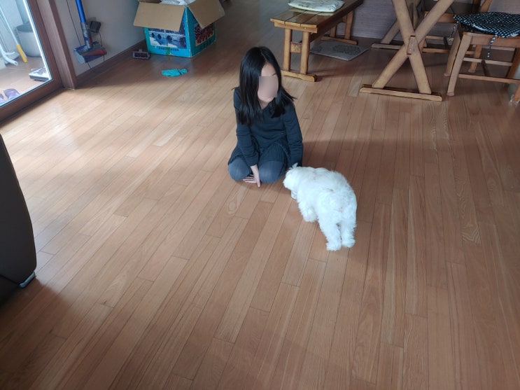  엄마집에  후다닥 갔다온 설날 !!