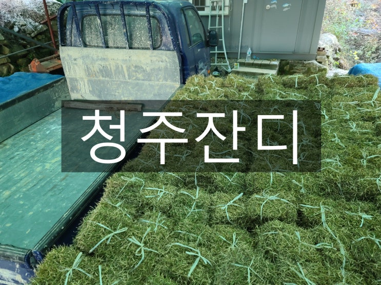 대한민국 녹색 수도 청주 잔디 배송