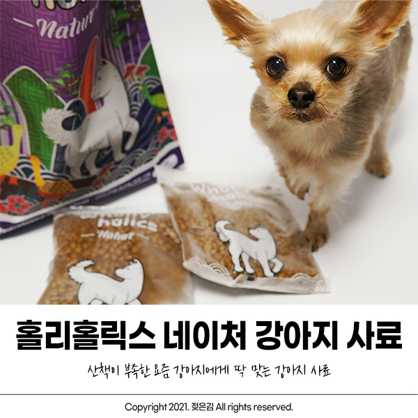 홀리홀릭스 네이처 강아지사료 방이가 좋아해요 홀리홀릭스 네이처 강아지사료 방이가 좋아해요