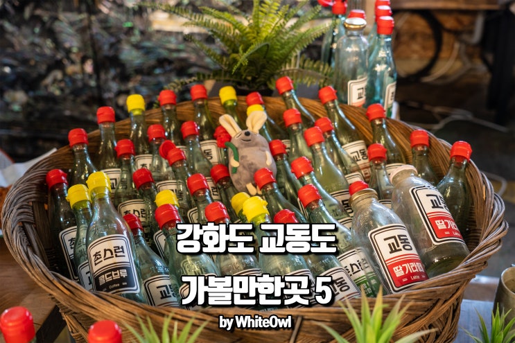  서울 근교 여행코스 강화도 교동도 가볼만한 곳 대룡시장 및 5