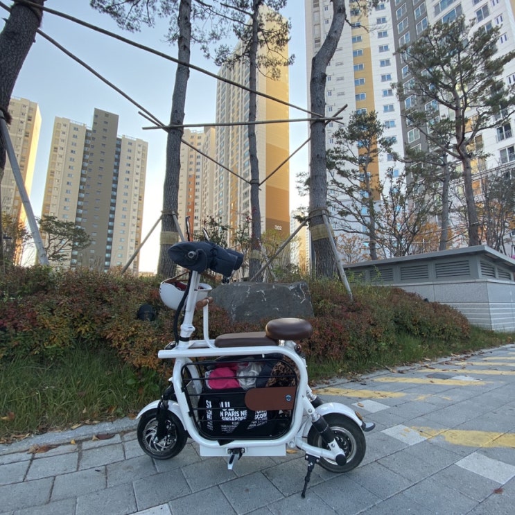  이디뚜뚜