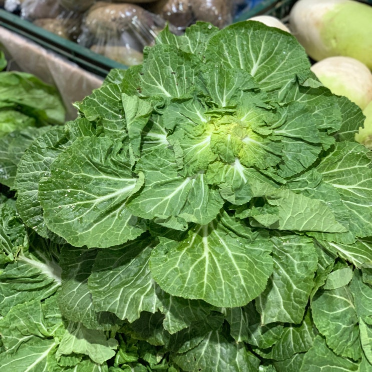 가성비갑 원동FS 봄동 1kg, 1봉, 1kg 내외 추천합니다 가성비갑 원동FS 봄동 1kg, 1봉, 1kg 내외 추천합니다