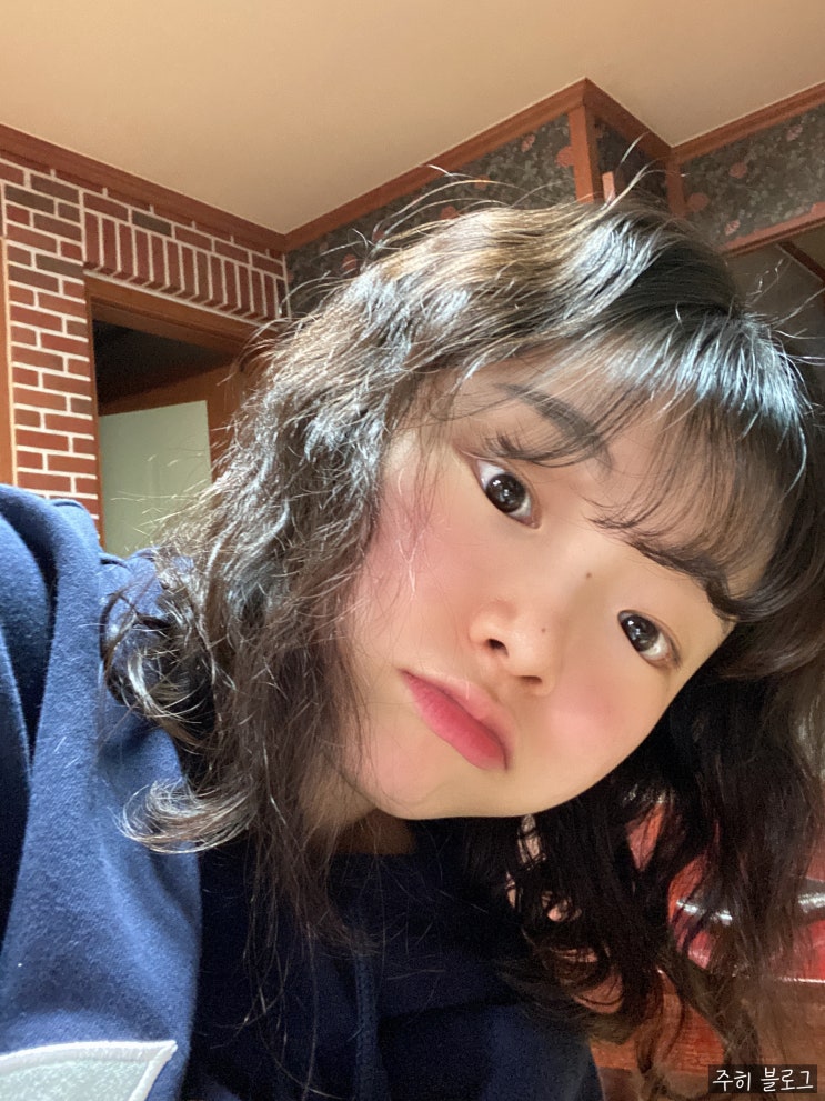  [2월 둘째 주 주히 일상] 2.8 Mon. - 2.14 Sun.
