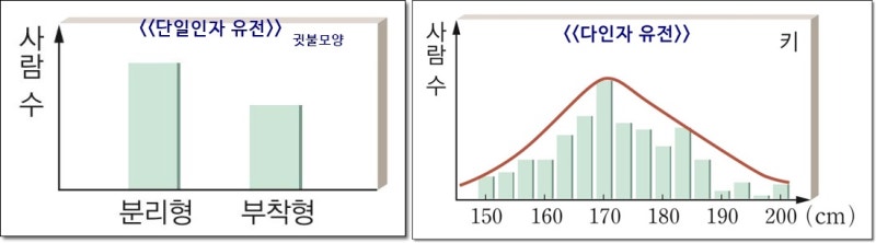 [잡담] 익들은 키작은 유전자를 가진 남자랑 결혼할 수 있어? | 인스티즈