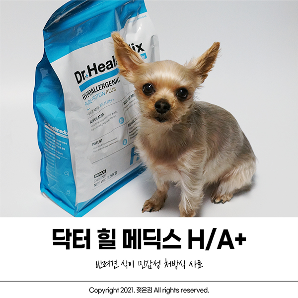 닥터힐메딕스HA 강아지사료 기호성까지 좋으니 강추 닥터힐메딕스HA 강아지사료 기호성까지 좋으니 강추