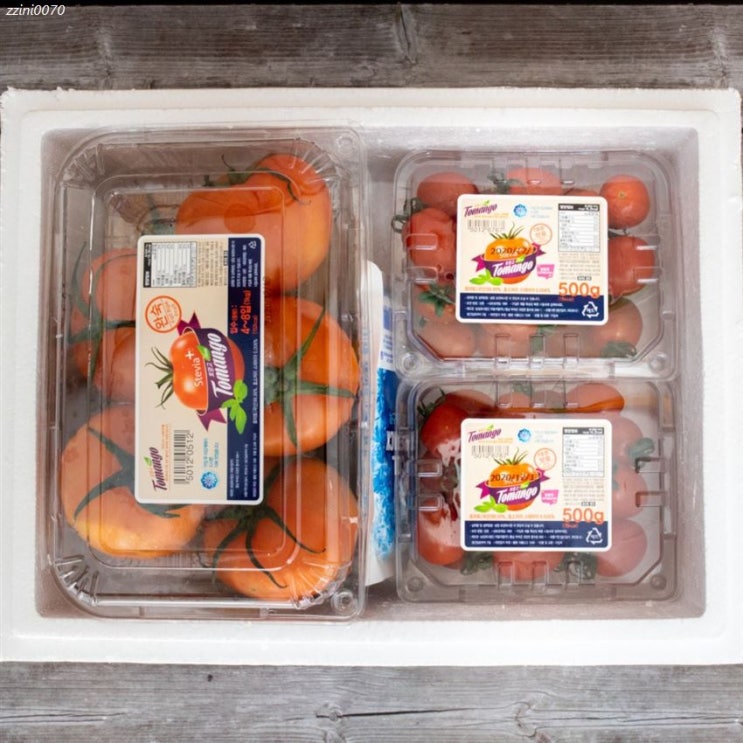  [할인정보] 매치파머스 맛있는 제철 스테비아 토마토 샤인 방울 토망고 완숙 찰 토망토 꿀 설탕 달짝이 단 천연당분 12,600 원~! 28% 할인