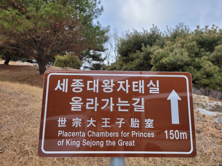  세 종 대 왕 자태실~~
