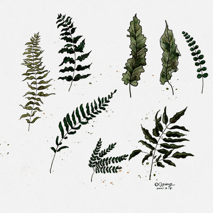  15일차-Leaves painted in watercolor
