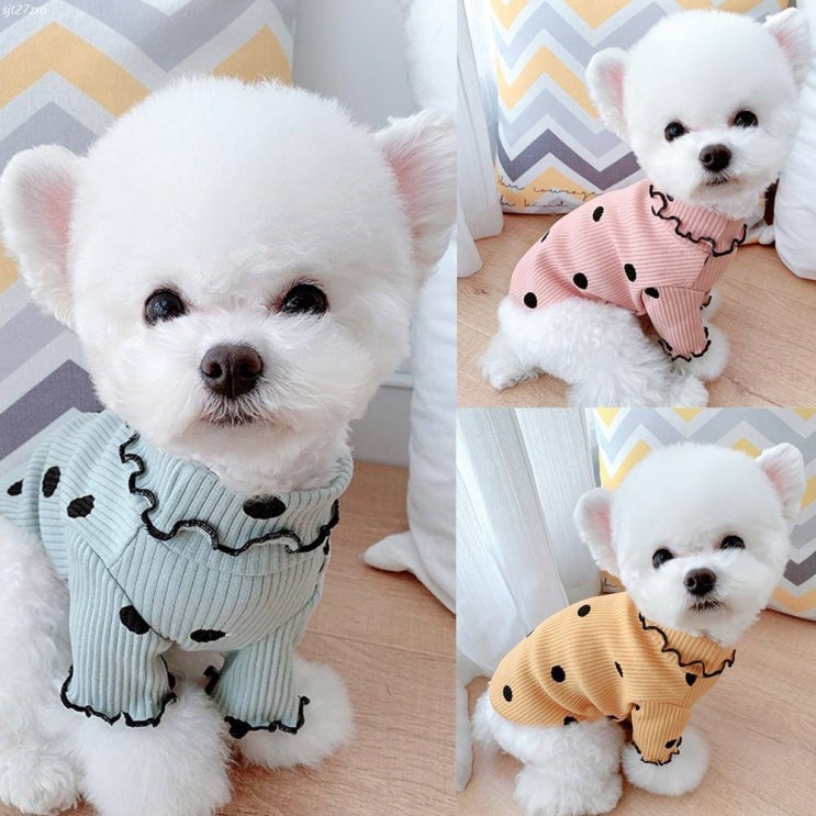  [할인추천] 베이비도그 DT043 골지쫀쫀티 7,900 원~* ~!
