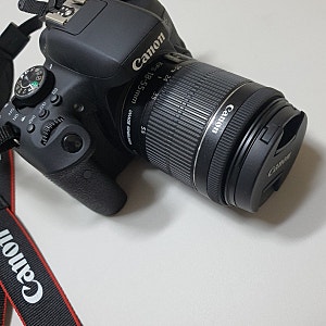 [내돈내산후기]캐논EOS750D바디와 기본렌즈/ 캐논750D로 찍은 사진들  후기2