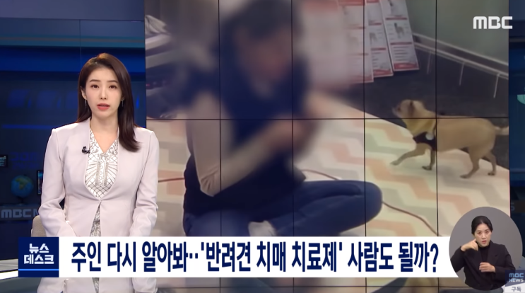  주인을 다시 알아본다! 반려견 치매 치료제